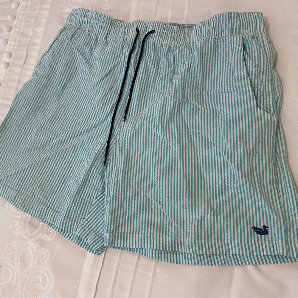 Seersucker Southern Marsh Swim Shorts